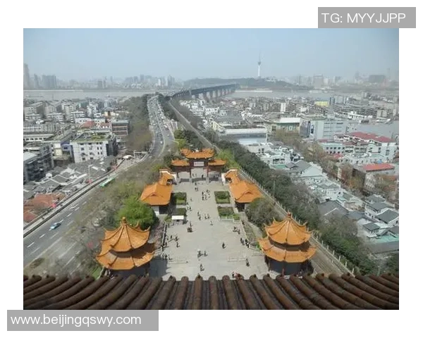 武汉排球队的奋斗历程与荣耀时刻全景纪实